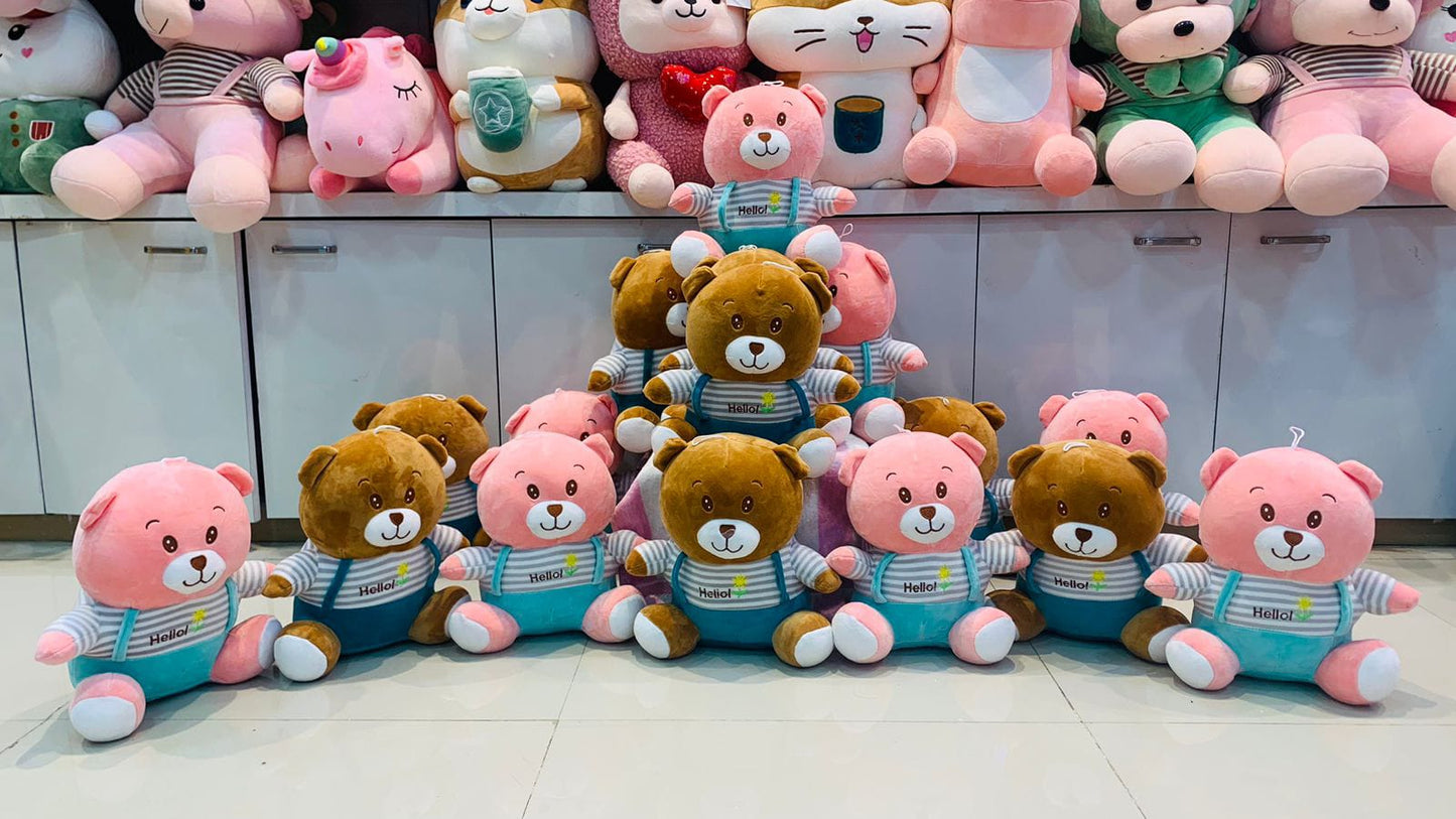 Hello Teddy Plush Toy