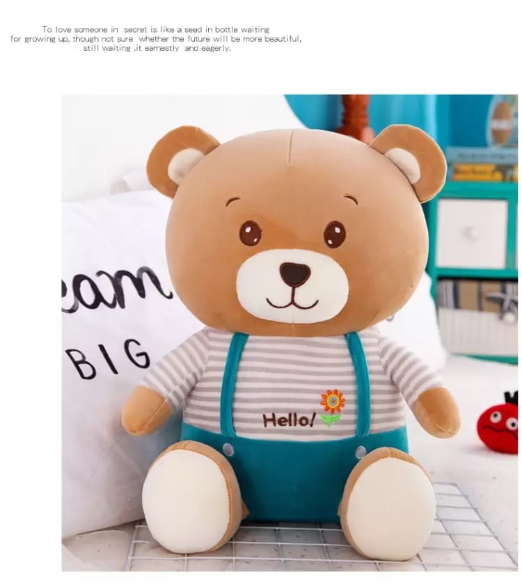 Hello Teddy Plush Toy