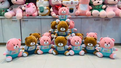 Hello Teddy Plush Toy