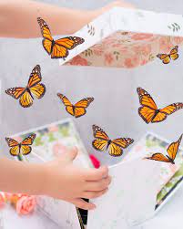 Surprise Butterfly Box
