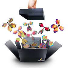 Surprise Butterfly Box