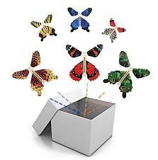 Surprise Butterfly Box